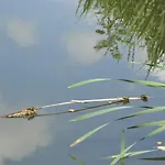 Olbasee Kleinsaubernitz