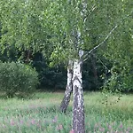 Olbasee Апартаменты