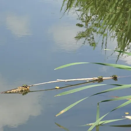 Olbasee Kleinsaubernitz
