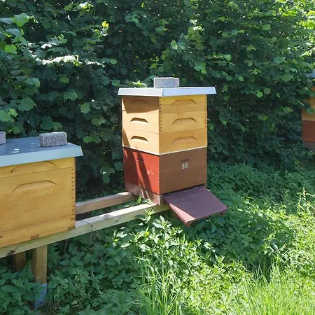 Olbasee Kleinsaubernitz