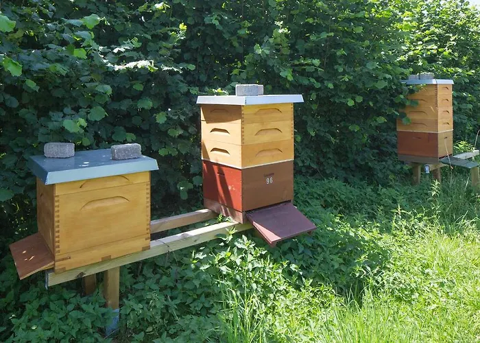 Olbasee Kleinsaubernitz